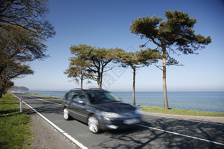 沿海岸驾驶运输交通海岸线阳光松树运动基础设施树木速度水平图片
