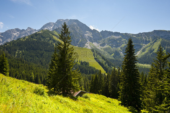 巴伐利亚阿尔卑斯高地枞树岩石树木旅行森林爬坡游客天空阴霾图片