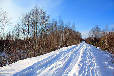 冬季木柴捷径娱乐树木阳光街道森林地平线树枝车道降雪图片