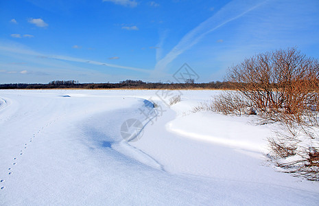 冬季风景季节天空石头流动雪景场地木头孤独场景树木图片