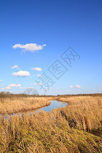 秋天田地上的小河太阳气候自由牧场风景场景光束植物季节阳光图片