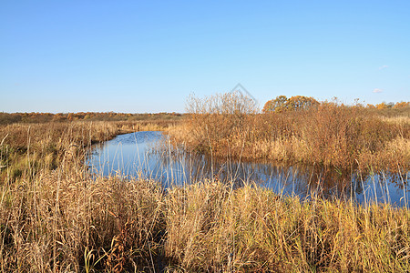 秋天田地上的小河反射太阳气候收获天空风景天气地平线牧草季节图片