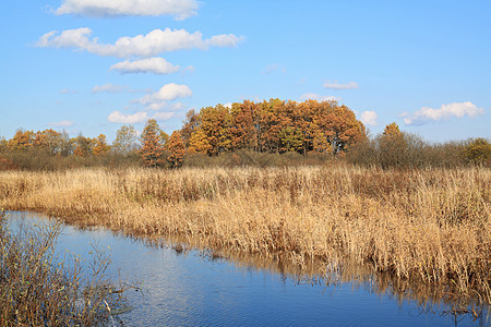 秋天田地上的小河光束牧场反射天空场地场景自由风景草本植物天气图片