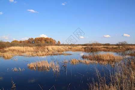 秋天田地上的小河池塘荒野森林风景公园溪流场景反射日落橙子图片