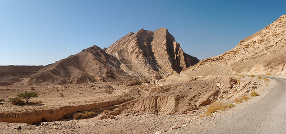 石化沙漠中路边被抛光的褐色岩石图片