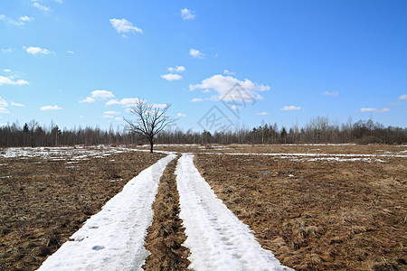 雪雪路木材衬套气候分支机构场地寒意森林农村天空橡木图片