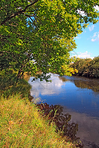 沿海河反射钓鱼风景生长橡木公园植物树木野餐阳光图片