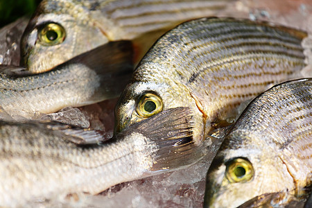 供出售的鱼店铺营养海洋烹饪海鲜销售市场柠檬香菜钓鱼图片