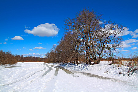 冰河冬季道路木材环境衬套橡木场地天空阴影季节孤独痕迹图片