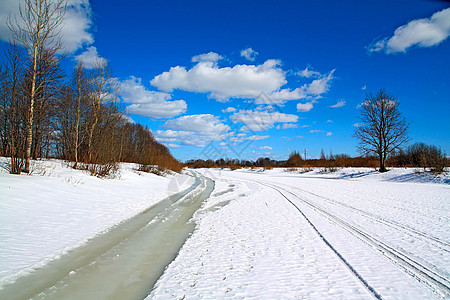 冰河冬季道路橡木衬套分支机构环境木材森林天空蓝色孤独阴影图片