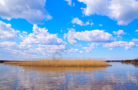 湖边的里德天堂晴天场景湿地天空生活植物反射公园蓝色图片