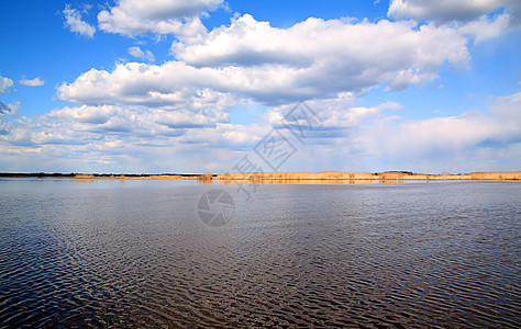 湖边的里德风景场景沼泽天空晴天蓝色公园湿地池塘芦苇图片