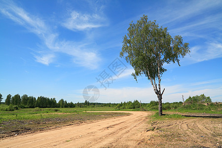 农村公路附近一条老旧的桥旅行曲线桦木生态树木公园缠绕场景车道图片