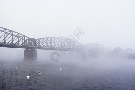 雾中之桥毛毛粗糙度阴霾情绪细雨清凉天气薄雾寒冷大雾背景图片