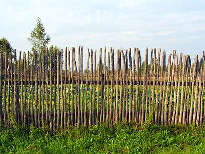 旧木板围栏财产风景花园木头栅栏植物学蔬菜衬套植物乡村图片