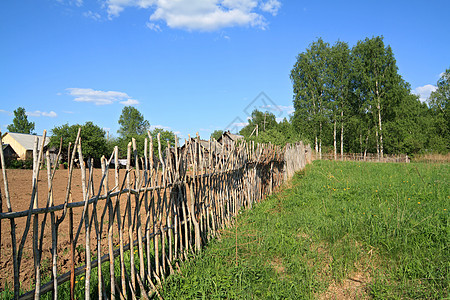 旧木板围栏风化木头乡村蔬菜鲜花衬套植物学农场城市场景图片