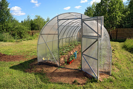 温室气体文化花园温室塑料植物场地生物学植物学食物幼苗图片