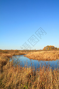 秋季风景太阳气候草本植物场地反射自由地平线天空牧场天堂图片