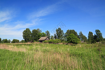 草药中间的旧木屋旅行乡村天空场景建筑学历史文化窗户地标木材图片