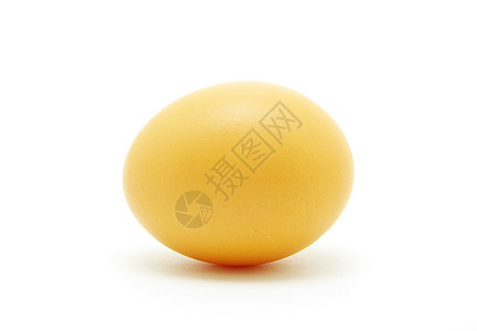 蛋椭圆黄色阴影食物生活背景图片
