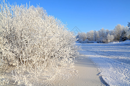 沿海河下雪的灌木丛中森林土地日出溪流旅行薄雾雪堆房子旅游雌蕊背景图片