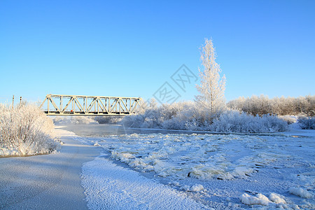 沿海河下雪的灌木丛中天空田园桦木旅行阴影松树街道铁路地平线橡木图片