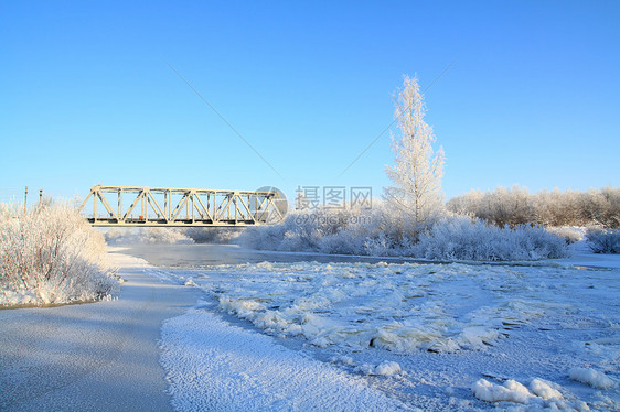 沿海河下雪的灌木丛中天空田园桦木旅行阴影松树街道铁路地平线橡木图片