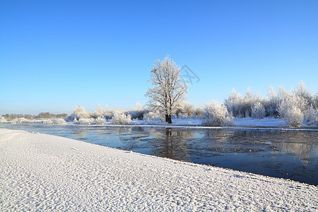 沿海河下雪的灌木丛中桦木石头衬套雪堆假期旅行松树药品地平线蓝色图片