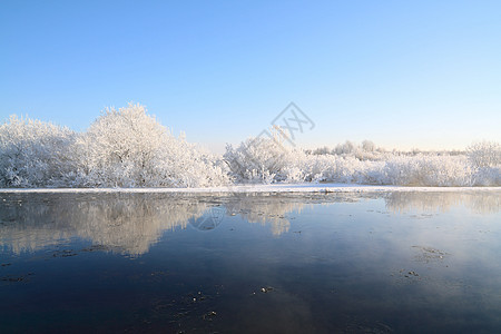 沿海河下雪的灌木丛中天气雪堆土地房子森林旅行荒野日出草本植物雌蕊图片