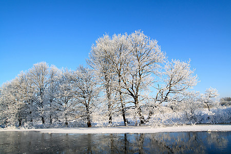 沿海河上的橡木旅行桦木海滩地平线石头雪堆蓝色衬套天空痕迹图片