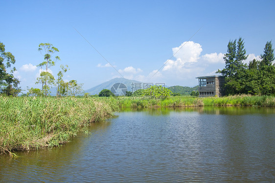 香港湿地公园公园荒野沼泽地平线土地池塘环境国家草地旅行图片