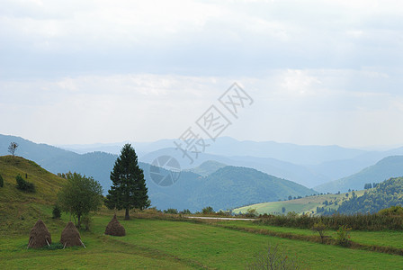 字段和天空场地国家草地季节牧场白色爬坡绿色乡村蓝色图片