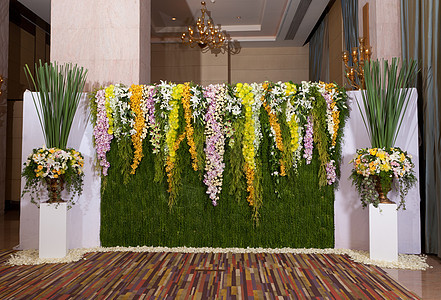 婚礼仪式上布花花背景装饰玫瑰植物兰花植物群花束红色粉色花园框架叶子图片