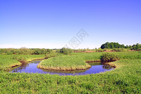 绿地上的小河场地植物群叶子天空季节风景支撑公园海滩远景图片