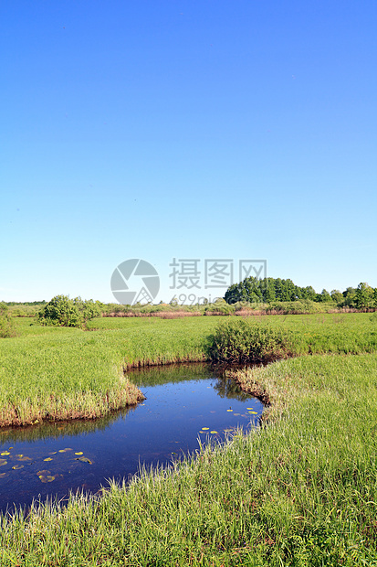 绿地上的小河反射生态植物群荒野百合旅行支撑叶子天空风景图片