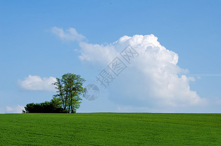 草原上的树天气季节草地国家牧场乡村场景绿色蓝色风景图片