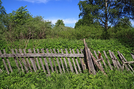 绿药草中的旧围栏木头植物学鲜花栅栏蔬菜衬套风景障碍财产乡村图片