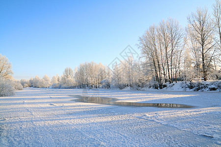 冬季风景地平线痕迹天空木头假期药品衬套海滩橡木雪堆图片