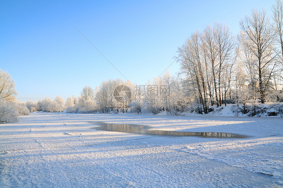 冬季风景地平线痕迹天空木头假期药品衬套海滩橡木雪堆图片