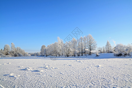 冬季风景石头街道木头假期松树地平线海滩田园天空雪堆图片