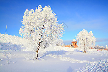 雪树下积雪冰柱阳光粉末堡垒雪橇仙境天空气象地平线树木图片