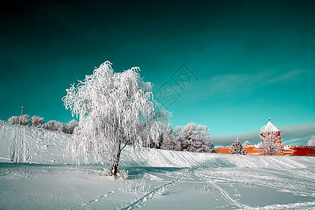 雪树下积雪粉末季节全景风景雪橇冰柱天空天气仙境天际图片