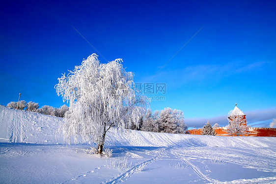 雪树下积雪气象仙境树木雪橇天际堡垒天空全景阳光粉末图片