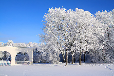 秋叶雪霜古城墙冰柱仙境地平线森林树木粉末雪橇季节下雪风景背景