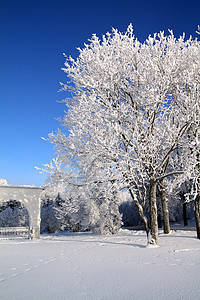 古城墙雪橇天空堡垒仙境冰柱全景粉末天气天际季节图片