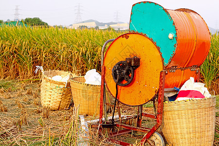 旧水稻木机种植园拖拉机农场稻草场地植物培育谷物机器稻田图片