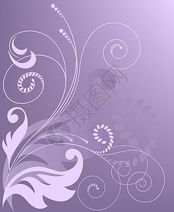 抽象紫色背景树枝卷发包装卡片绘画树叶浆果卷曲商业花丝图片