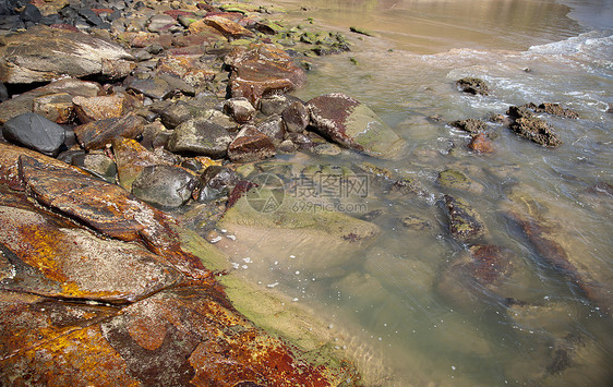 海水岩礁海洋石头风化波浪绿色苔藓海岸海岸线三叶草吸引力图片