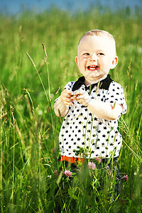青草中的男孩天空微笑儿子喜悦衬衫童年植物蓝色场地生活图片