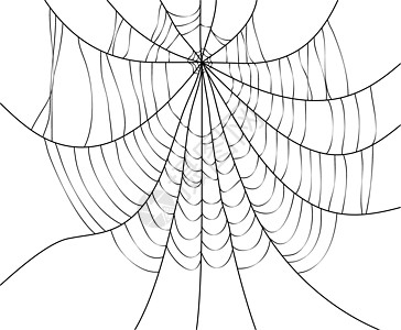 蜘蛛网插图危险陷阱白色装饰品网络黑色墙纸蜘蛛框架图片